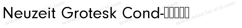 Neuzeit Grotesk Cond字体转换